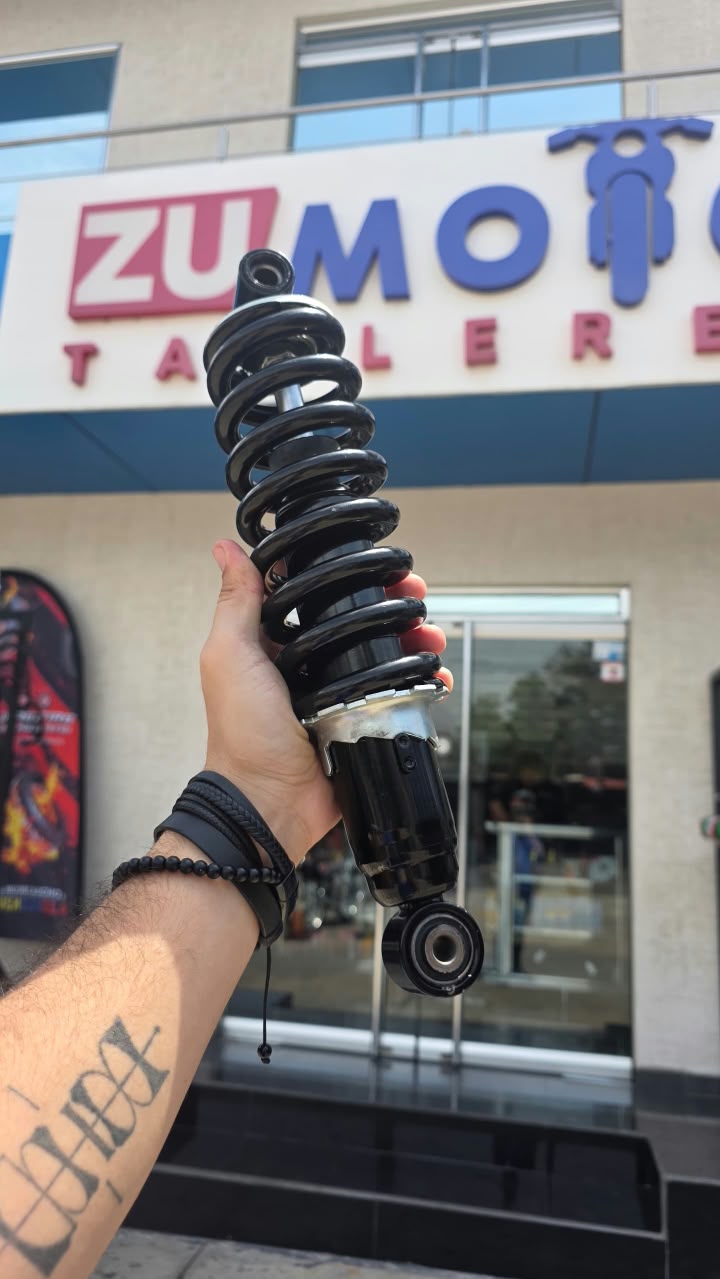 MONOSHOCK DE R3X
