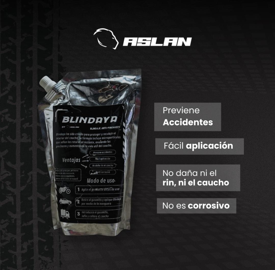 ANTIESPICHE ASLAN