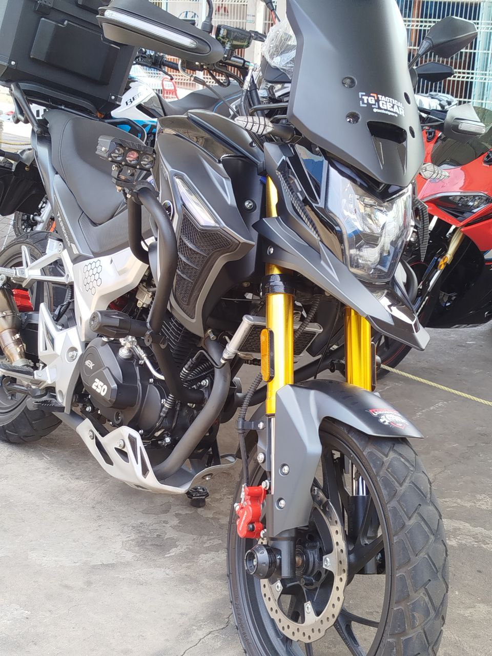 DEFENSA DELANTERA GS250